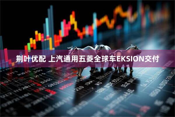 荆叶优配 上汽通用五菱全球车EKSION交付