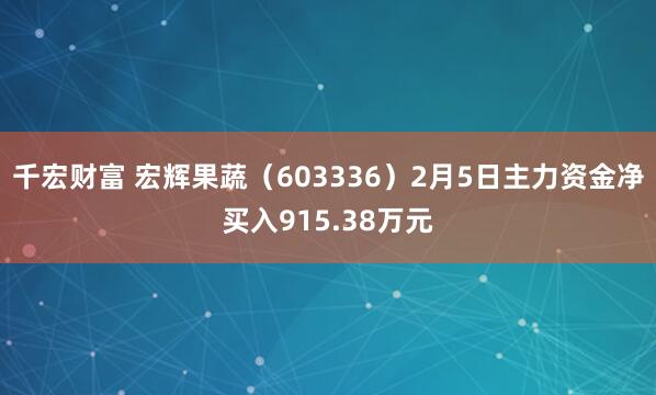 千宏财富 宏辉果蔬（603336）2月5日主力资金净买入915.38万元